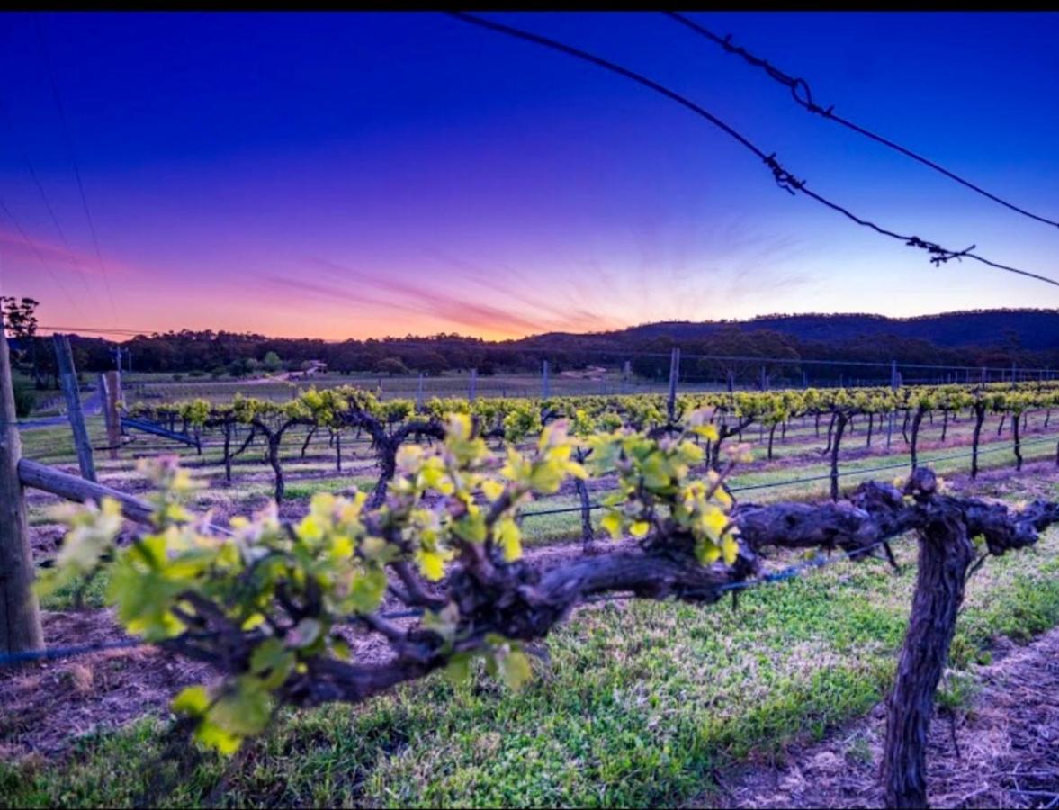 #Grampians Views Getaway #Cbd #Netflix Apartment Stawell Luaran gambar